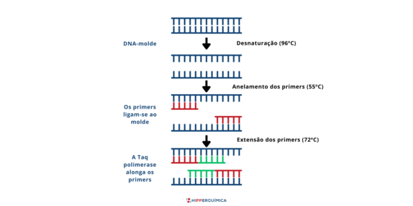 5 Como Funcionam Os Marcadores Baseados Em Pcr Cite Exemplos